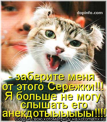 - заберите меня от этого Сережки!!! Я больше не могу слышать его анекдотыыыыыы!!!!... Котоматрица: - заберите меня от этого Сережки!!! Я больше не могу слышать его анекдотыыыыыы!!!!