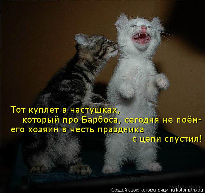 Тот куплет в частушках, который про Барбоса, сегодня не поём- его хозяин в честь праздника с цепи сп... Котоматрица: Тот куплет в частушках, который про Барбоса, сегодня не поём- его хозяин в честь праздника с цепи спустил!
