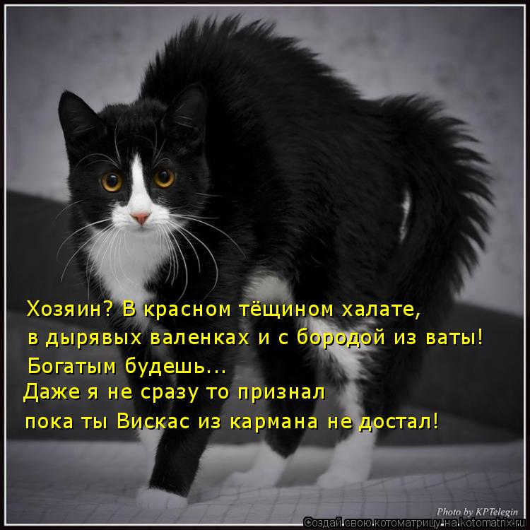 в дырявых валенках и с бородой из ваты! Хозяин? В красном тёщином халате, Богатым будешь... Даже я не... Котоматрица: в дырявых валенках и с бородой из ваты! Хозяин? В красном тёщином халате, Богатым будешь... Даже я не сразу то признал пока ты Вискас из карман