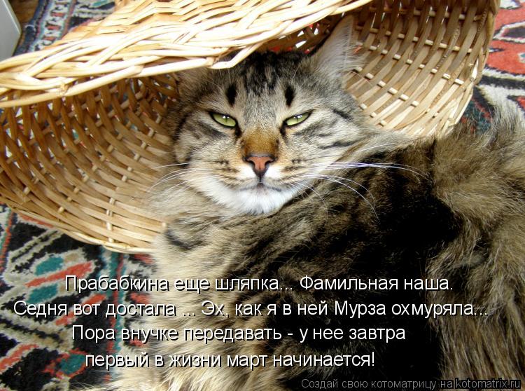 Прабабкина еще шляпка... Фамильная наша. Седня вот достала ... Эх, как я в ней Мурза охмуряла... Пора... Котоматрица: Прабабкина еще шляпка... Фамильная наша. Седня вот достала ... Эх, как я в ней Мурза охмуряла... Пора внучке передавать - у нее завтра первый в ж