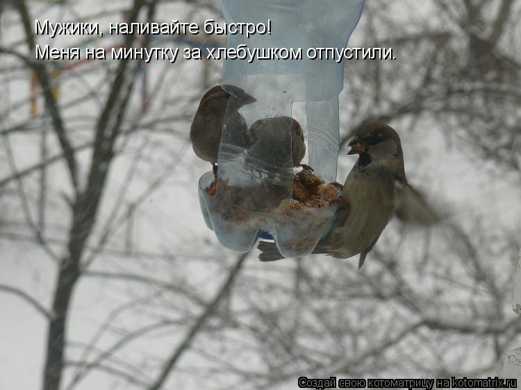 Мужики, наливайте быстро! Меня на минутку за хлебушком отпустили.... Котоматрица: Мужики, наливайте быстро! Меня на минутку за хлебушком отпустили.