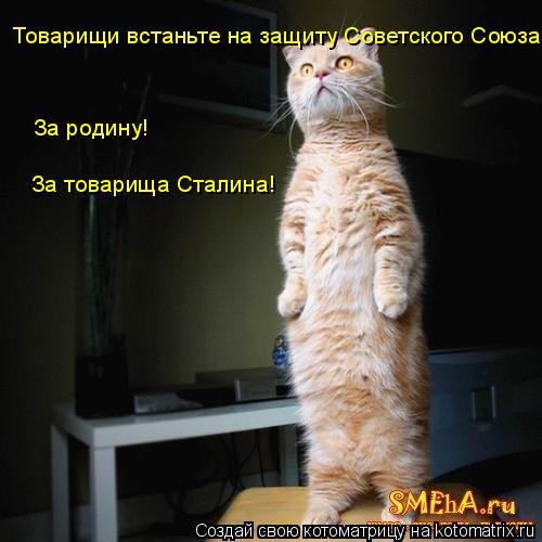 Котоматрица: Товарищи встаньте на защиту Советского Союза! За родину! За товарища Сталина!