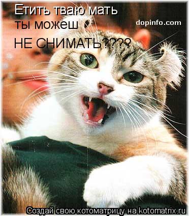 Котоматрица: Етить тваю мать  ты можеш  НЕ СНИМАТЬ????