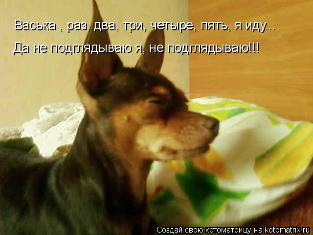 Котоматрица: Да не подглядываю я, не подглядываю!!! Васька , раз, два, три, четыре, пять, я иду...