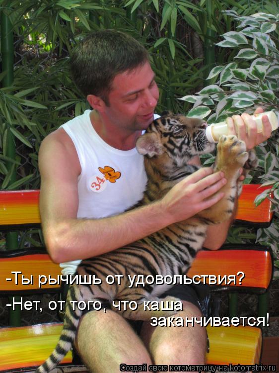 Котоматрица: -Ты рычишь от удовольствия? -Нет, от того, что каша заканчивается!