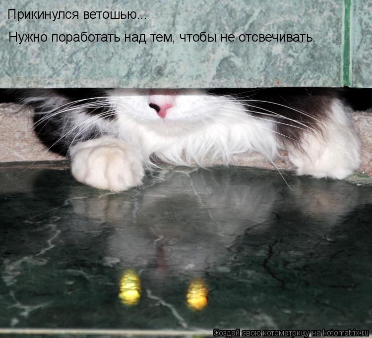 Котоматрица: Нужно поработать над тем, чтобы не отсвечивать. Прикинулся ветошью...