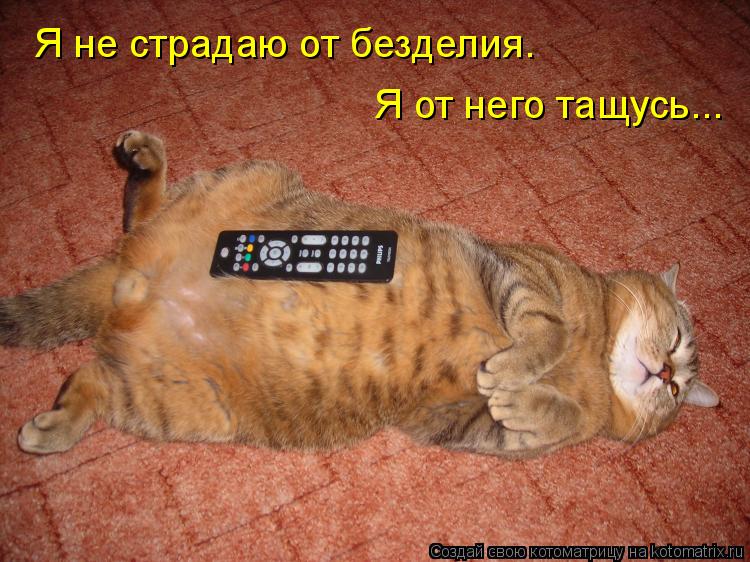 Котоматрица: Я не страдаю от безделия. Я от него тащусь...