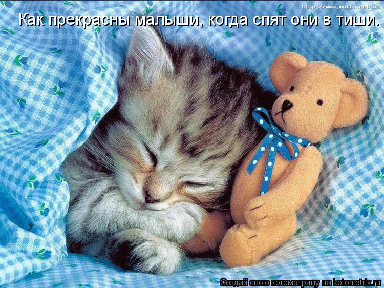Котоматрица: Как прекрасны малыши, когда спят они в тиши.