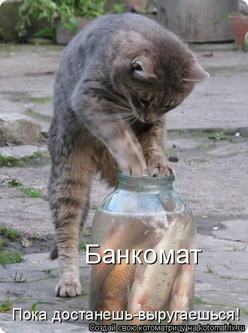 Котоматрица: Банкомат Пока достанешь-выругаешься!