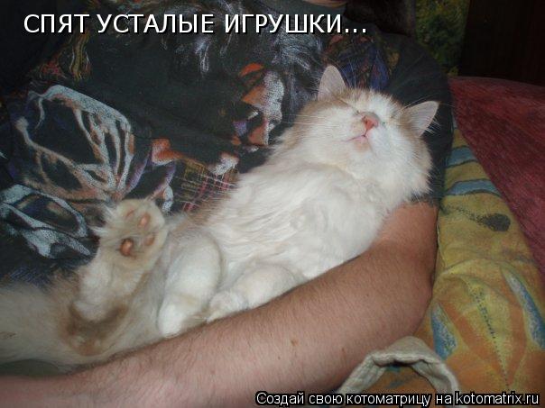 Котоматрица: СПЯТ УСТАЛЫЕ ИГРУШКИ...