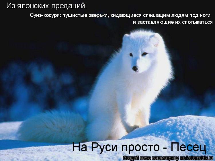 Котоматрица: Из японских преданий: Сунэ-косури: пушистые зверьки, кидающиеся спешащим людям под ноги  и заставляющие их спотыкаться На Руси просто - Песе