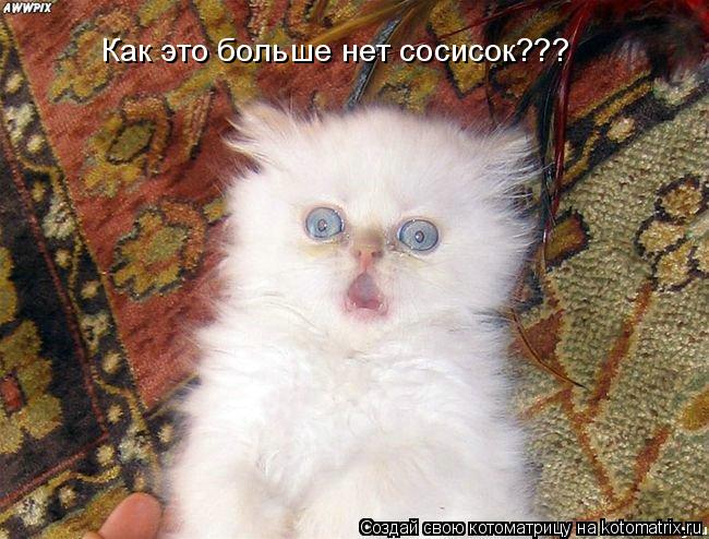 Котоматрица: Как это больше нет сосисок???