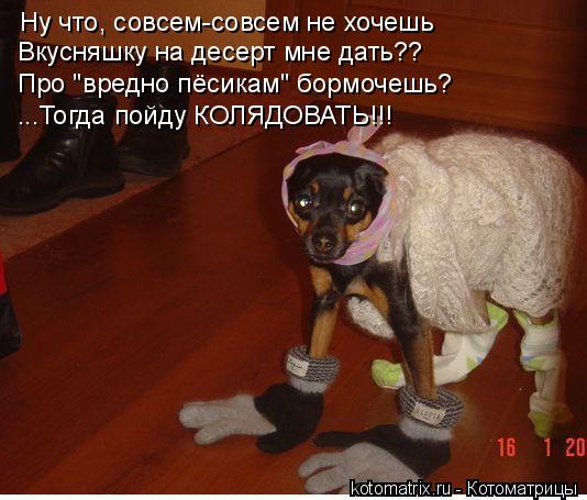 Котоматрица: Ну что, совсем-совсем не хочешь Вкусняшку на десерт мне дать?? ...Тогда пойду КОЛЯДОВАТЬ!!! Про "вредно пёсикам" бормочешь?