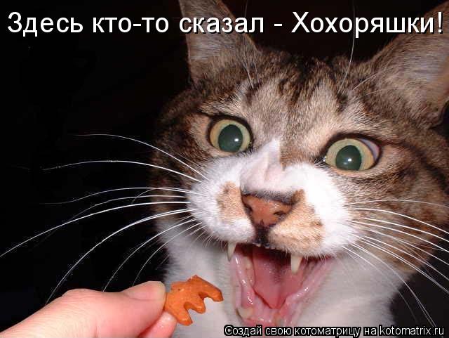 Котоматрица: Здесь кто-то сказал - Хохоряшки!