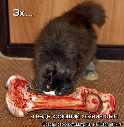 Котоматрица: Эх... ...а ведь хороший хозяин был