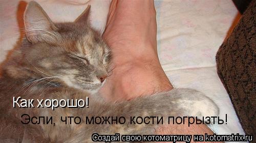Котоматрица: Как хорошо! Эсли, что можно кости погрызть!