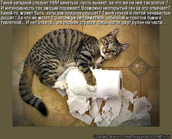 Котоматрица: Такой загадкой следует НИИ заняться..пусть выявят: за что же на неё так злятся ? И интенсивность тех эмоций поражает! Возможно неоткрытый ге