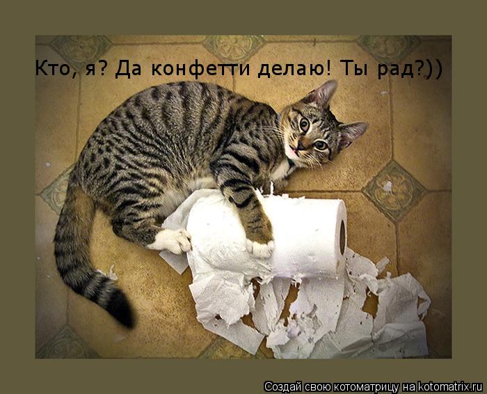 Котоматрица: Кто, я? Да конфетти делаю! Ты рад?))