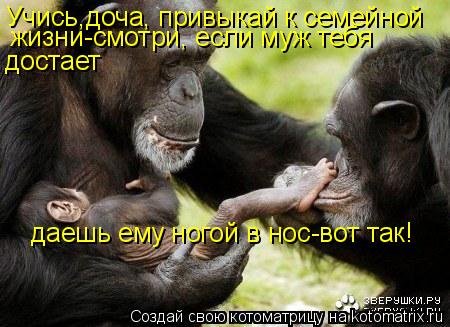 Котоматрица: Учись,доча, привыкай к семейной жизни-смотри, если муж тебя достает даешь ему ногой в нос-вот так!