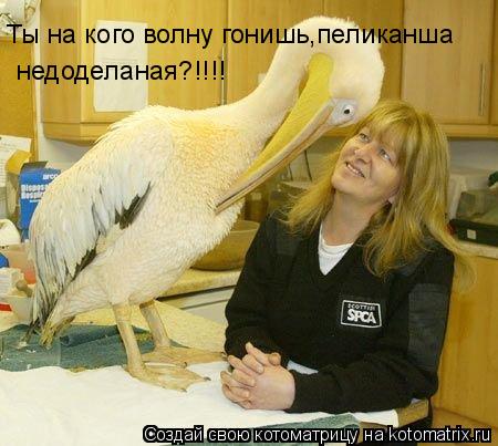 Котоматрица: Ты на кого волну гонишь,пеликанша недоделаная?!!!!