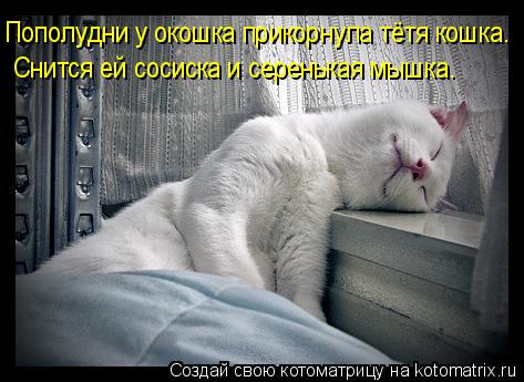 Котоматрица: Пополудни у окошка прикорнула тётя кошка. Снится ей сосиска и серенькая мышка.