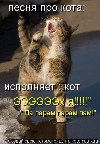 Котоматрица: песня про кота: исполняет : кот " ЭЭЭЭЭЭх я!!!!!" " Па парам парам пам!"