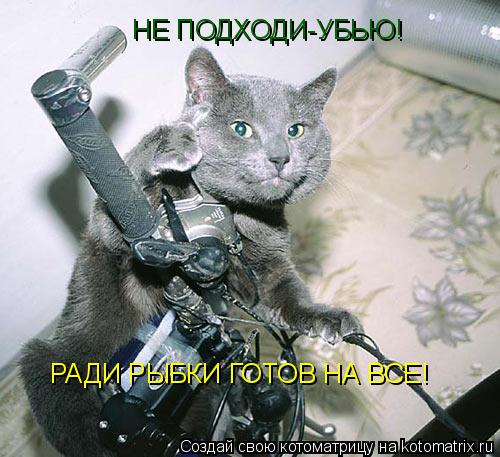 Котоматрица: НЕ ПОДХОДИ-УБЬЮ! РАДИ РЫБКИ ГОТОВ НА ВСЕ!