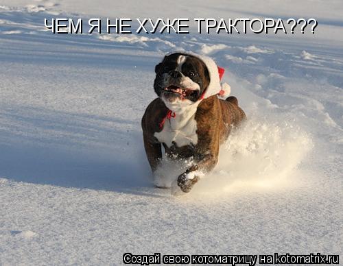 Котоматрица: ЧЕМ Я НЕ ХУЖЕ ТРАКТОРА???