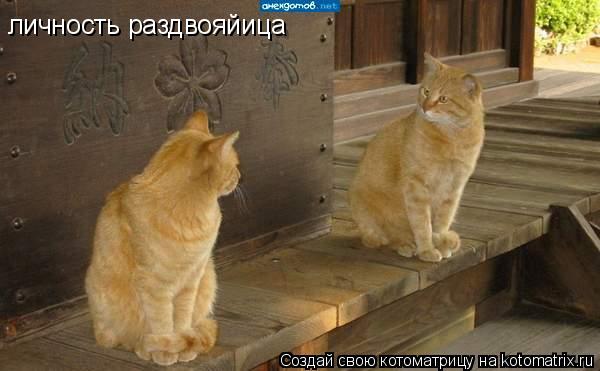 Котоматрица: личность раздвояйица