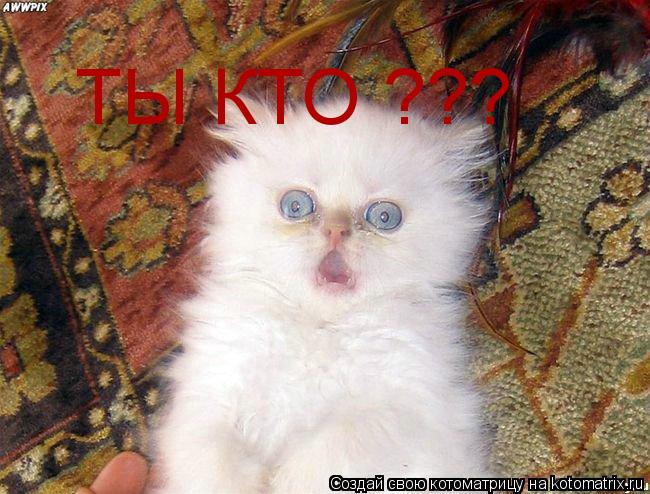 Котоматрица: ТЫ КТО ???