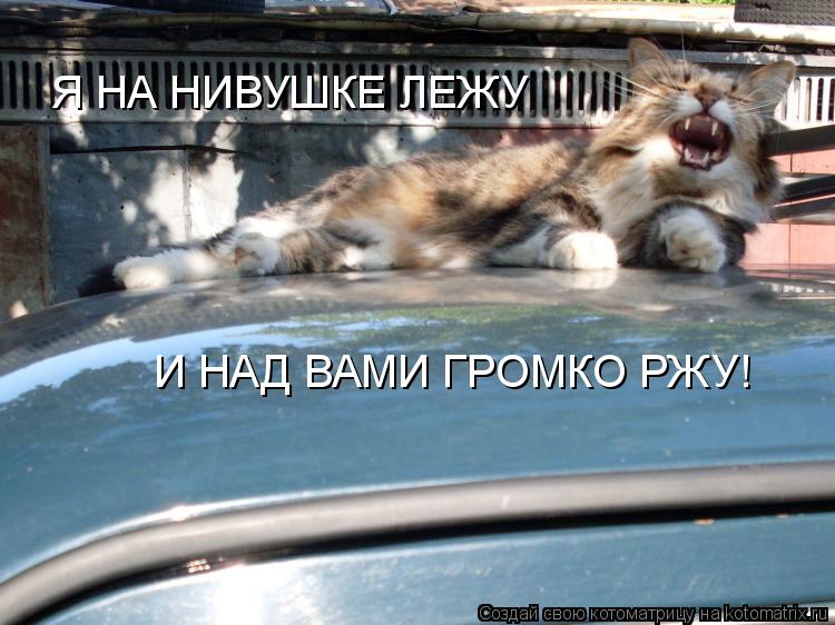 Котоматрица: Я НА НИВУШКЕ ЛЕЖУ И НАД ВАМИ ГРОМКО РЖУ!