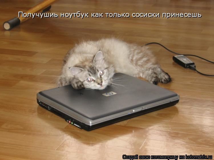 Котоматрица: Получушиь ноутбук как только сосиски принесешь