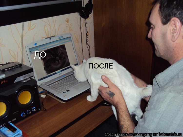 Котоматрица: ДО ПОСЛЕ