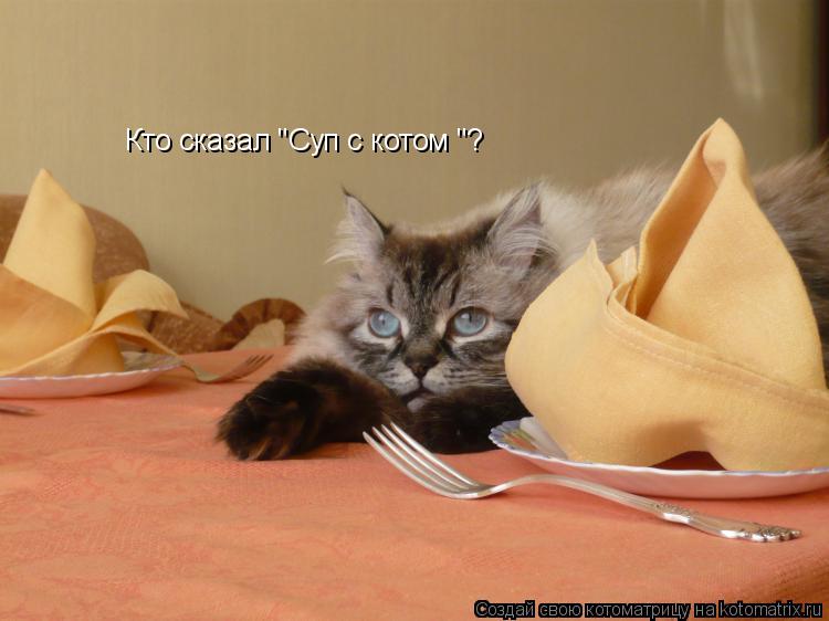 Котоматрица: Кто сказал "Суп с котом "?