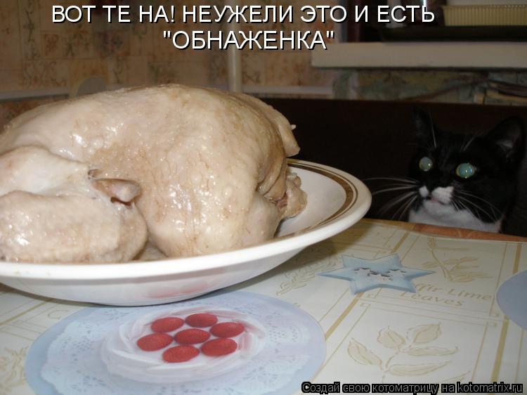 Котоматрица: ВОТ ТЕ НА! НЕУЖЕЛИ ЭТО И ЕСТЬ "ОБНАЖЕНКА"