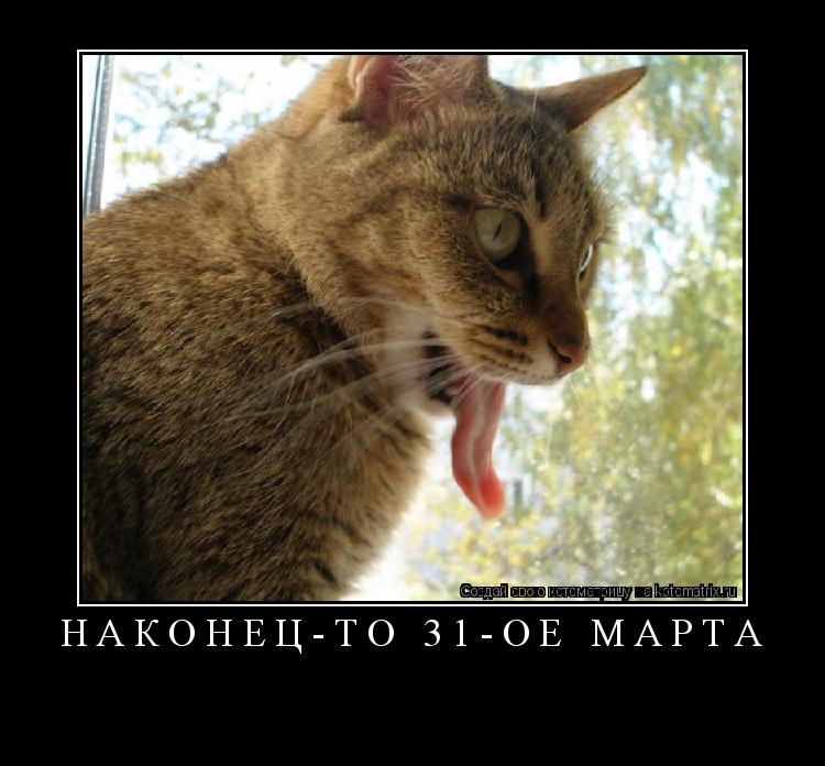 Котоматрица: Наконец-то 31-ое марта 