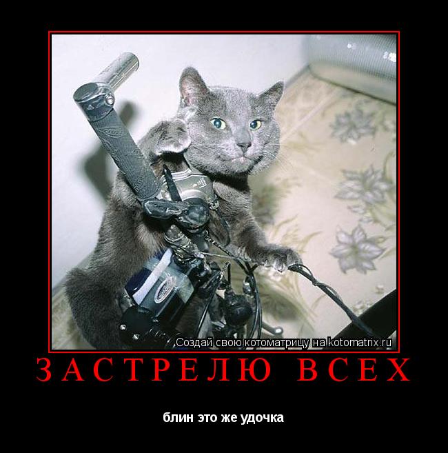 Котоматрица: застрелю всех блин это же удочка