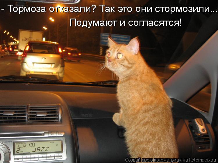 - Тормоза отказали? Так это они стормозили... Подумают и согласятся!... Котоматрица: - Тормоза отказали? Так это они стормозили... Подумают и согласятся!