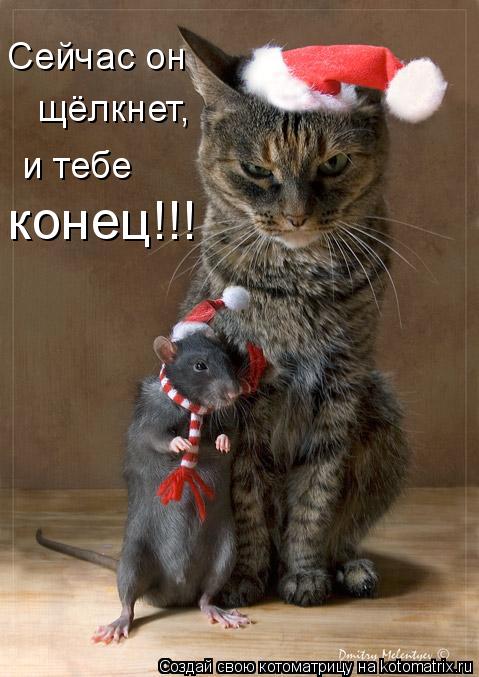 Котоматрица: Сейчас он  щёлкнет, и тебе конец!!!