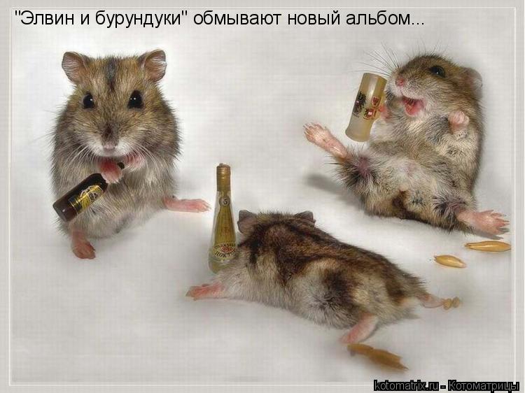 Котоматрица: "Элвин и бурундуки" обмывают новый альбом...
