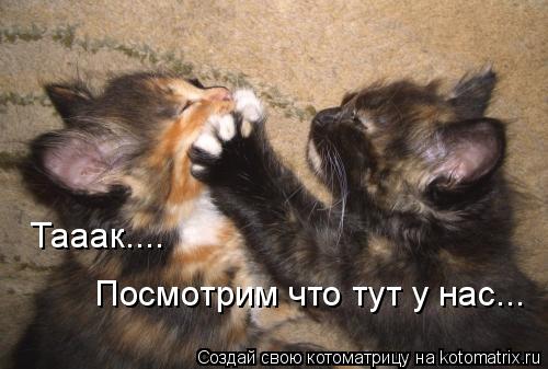 Котоматрица: Тааак.... Посмотрим что тут у нас...