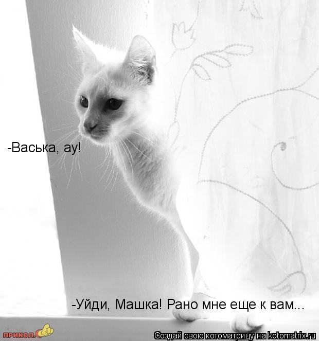 -Васька, ау! -Уйди, Машка! Рано мне еще к вам...... Котоматрица: -Васька, ау! -Уйди, Машка! Рано мне еще к вам...