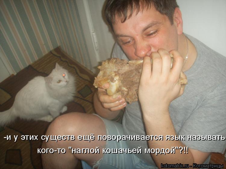-и у этих существ ещё поворачивается язык называть кого-то "наглой кошачьей мордой"?!!... Котоматрица: -и у этих существ ещё поворачивается язык называть кого-то "наглой кошачьей мордой"?!!