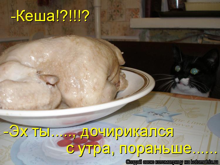Котоматрица: -Кеша!?!!!? -Эх ты....., дочирикался  с утра, пораньше......