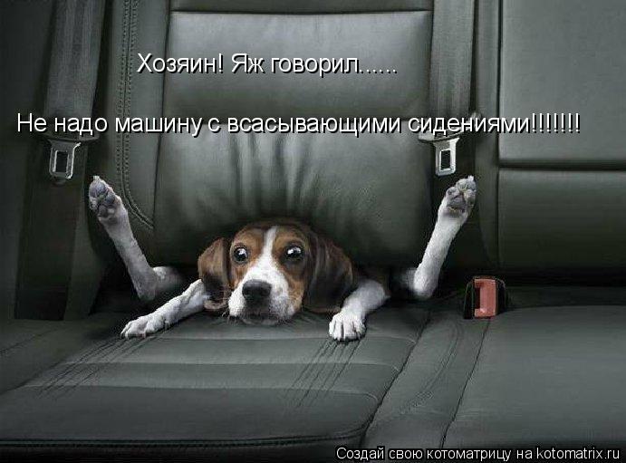 Котоматрица: Хозяин! Яж говорил......  Не надо машину с всасывающими сидениями!!!!!!!