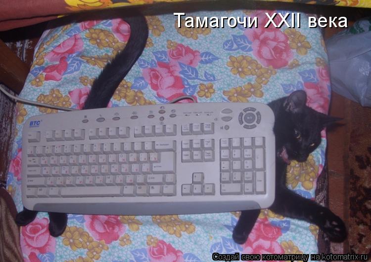 Тамагочи XXII века... Котоматрица: Тамагочи XXII века