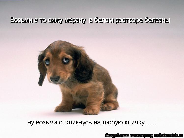 Возьми а то сижу мёрзну в белом растворе белезны Возьми а то сижу мёрзну в белом растворе белезны В... Котоматрица: Возьми а то сижу мёрзну в белом растворе белезны Возьми а то сижу мёрзну в белом растворе белезны Возьми а то сижу мёрзну в белом растворе