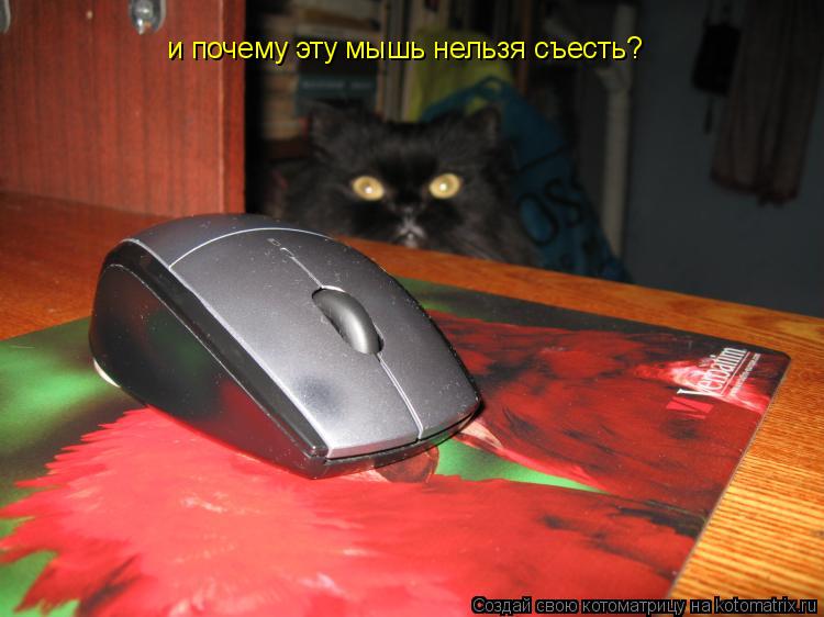 и почему эту мышь нельзя съесть?... Котоматрица: и почему эту мышь нельзя съесть?