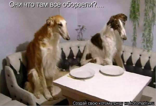 Они что там все оборзели?....... Котоматрица: Они что там все оборзели?....