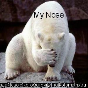 Котоматрица: My Nose